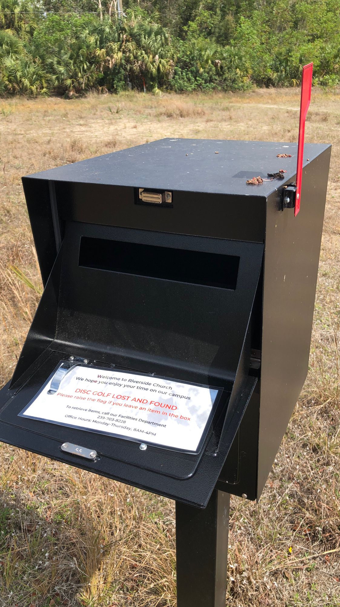 Lost disc mailbox