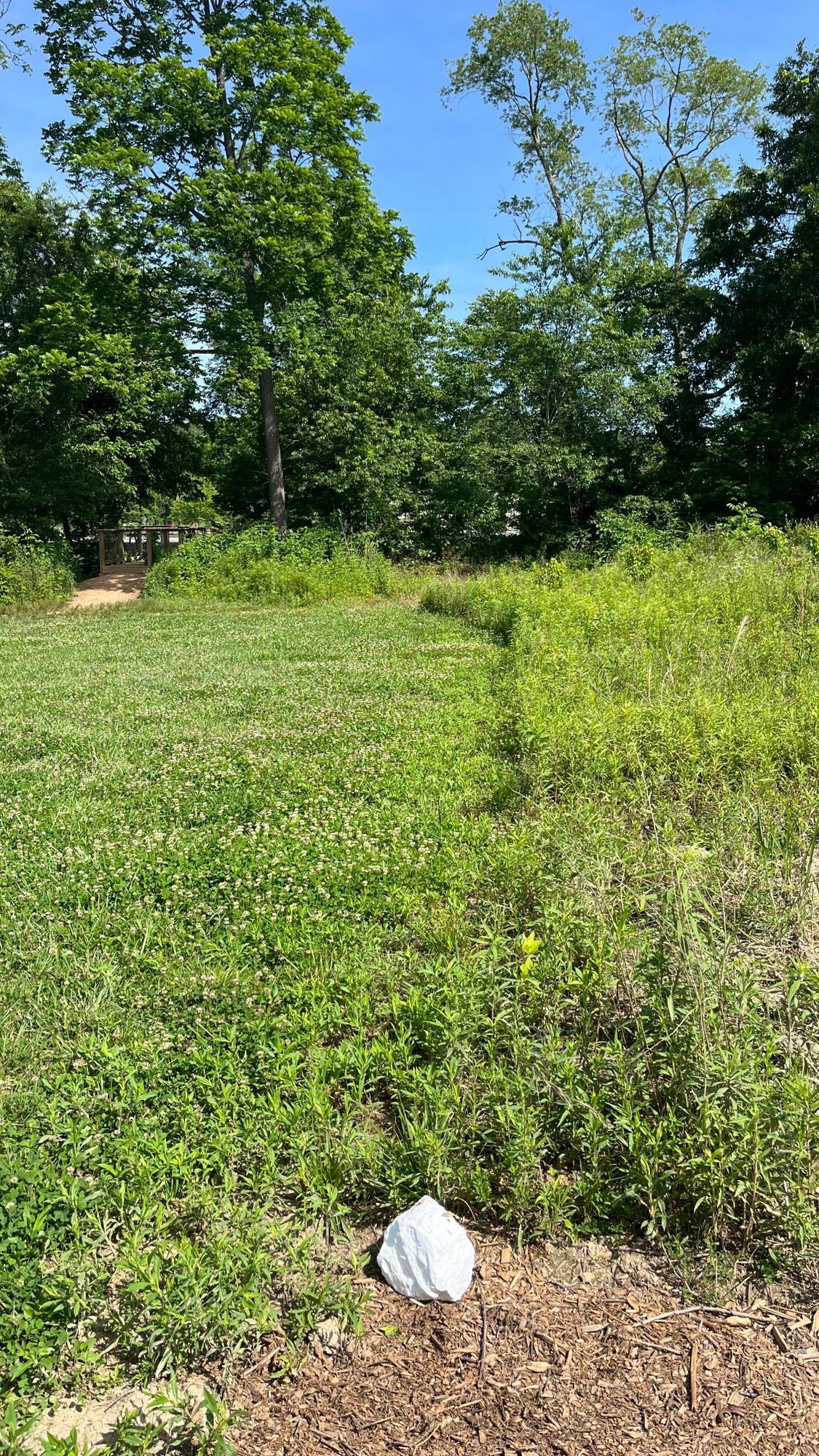 Hole 3 White