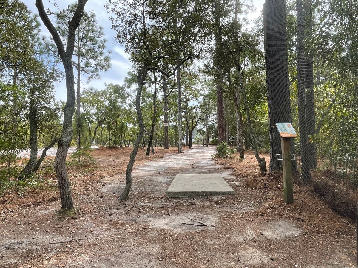 Hole 3