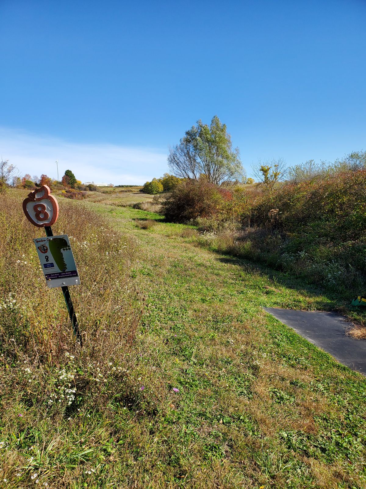 Hole 8