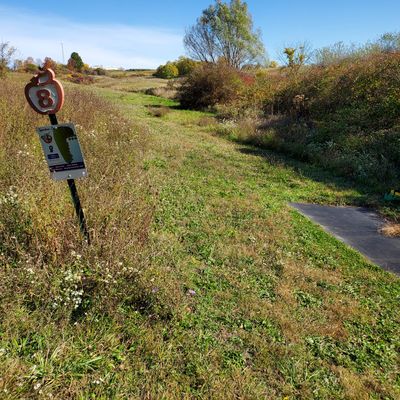 Hole 8