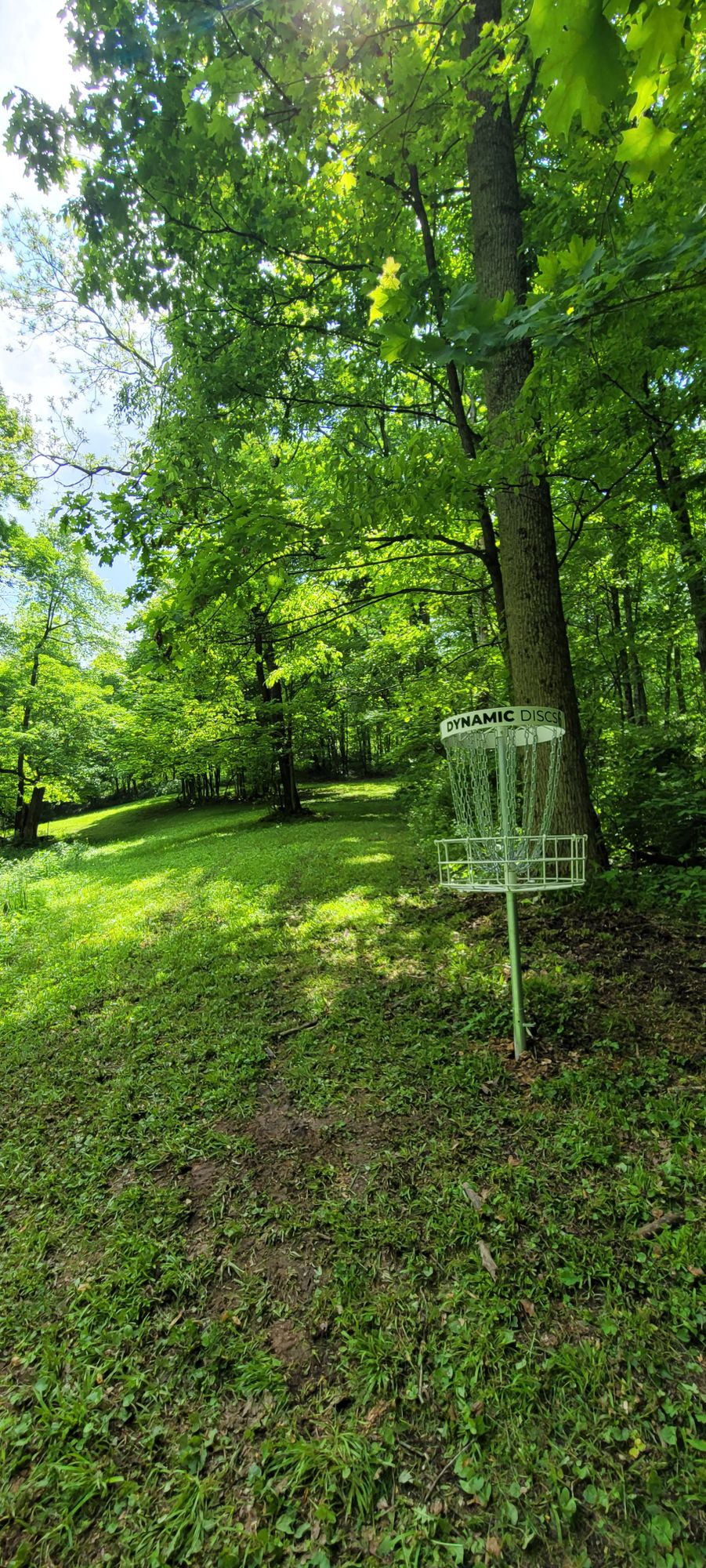 6 basket, reverse up fairway
