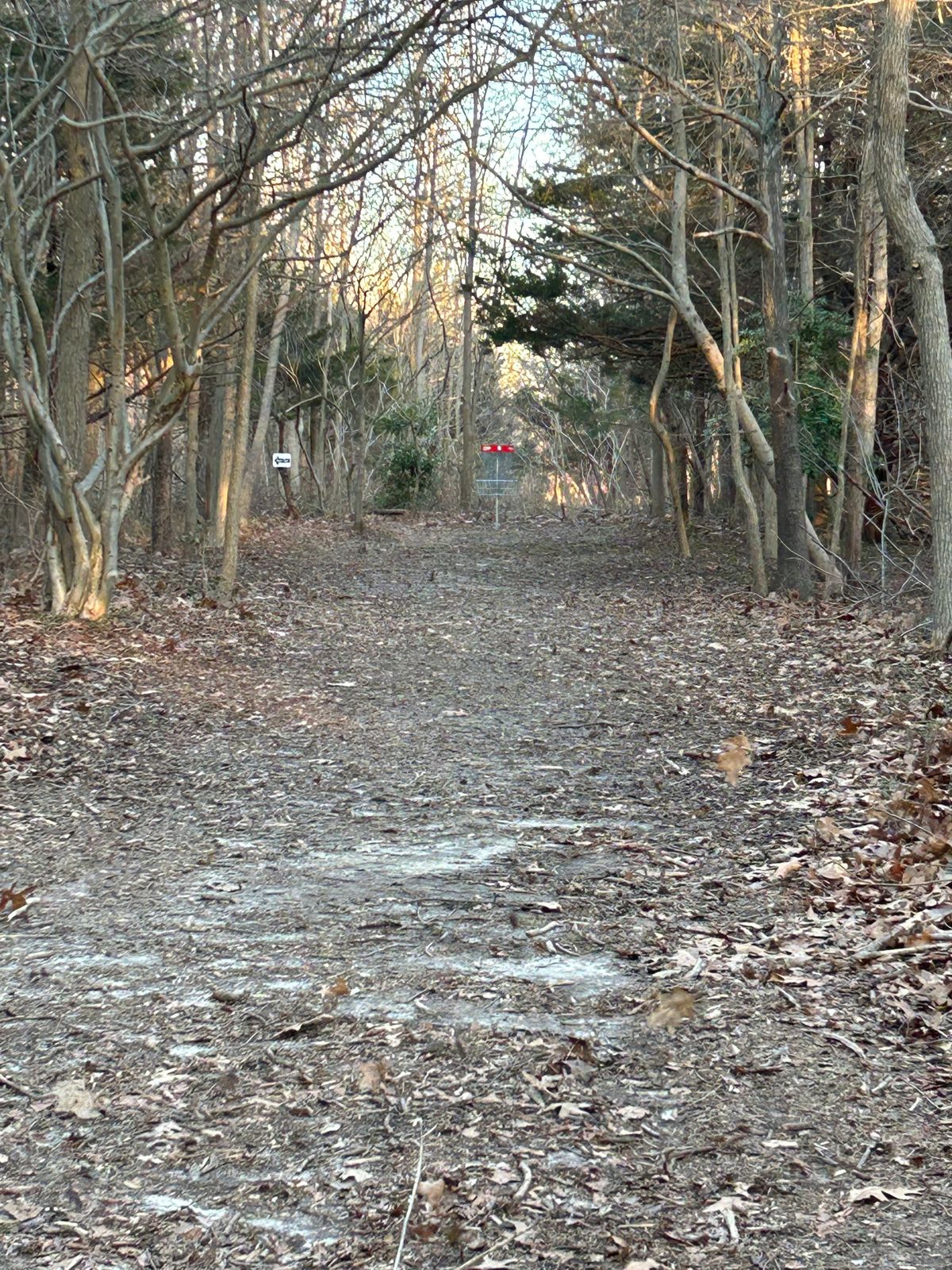 Fun ace run on hole 8