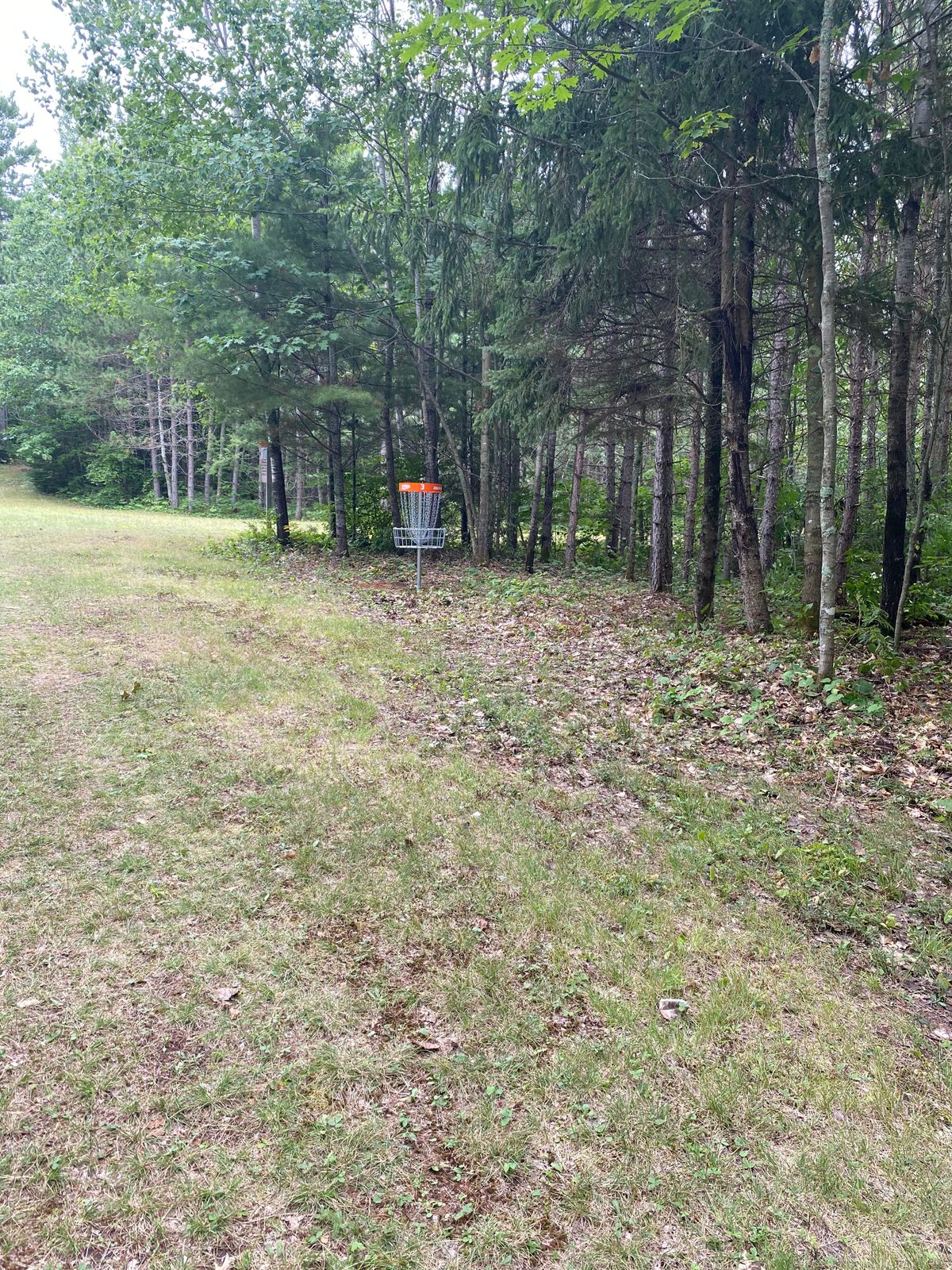 Hole 3