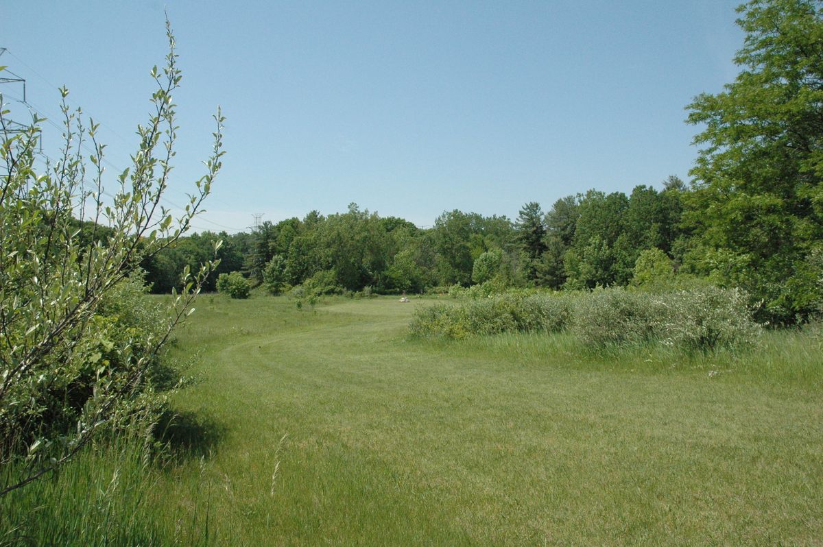 Hole 1 fairway from Pro pad