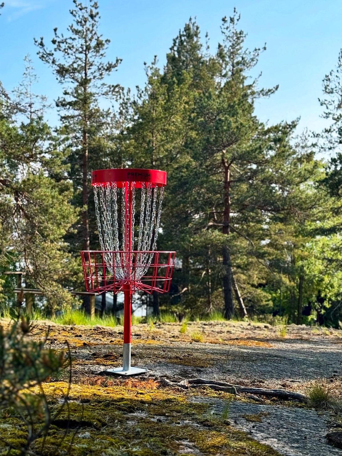 Väylä #11 Amateur kori