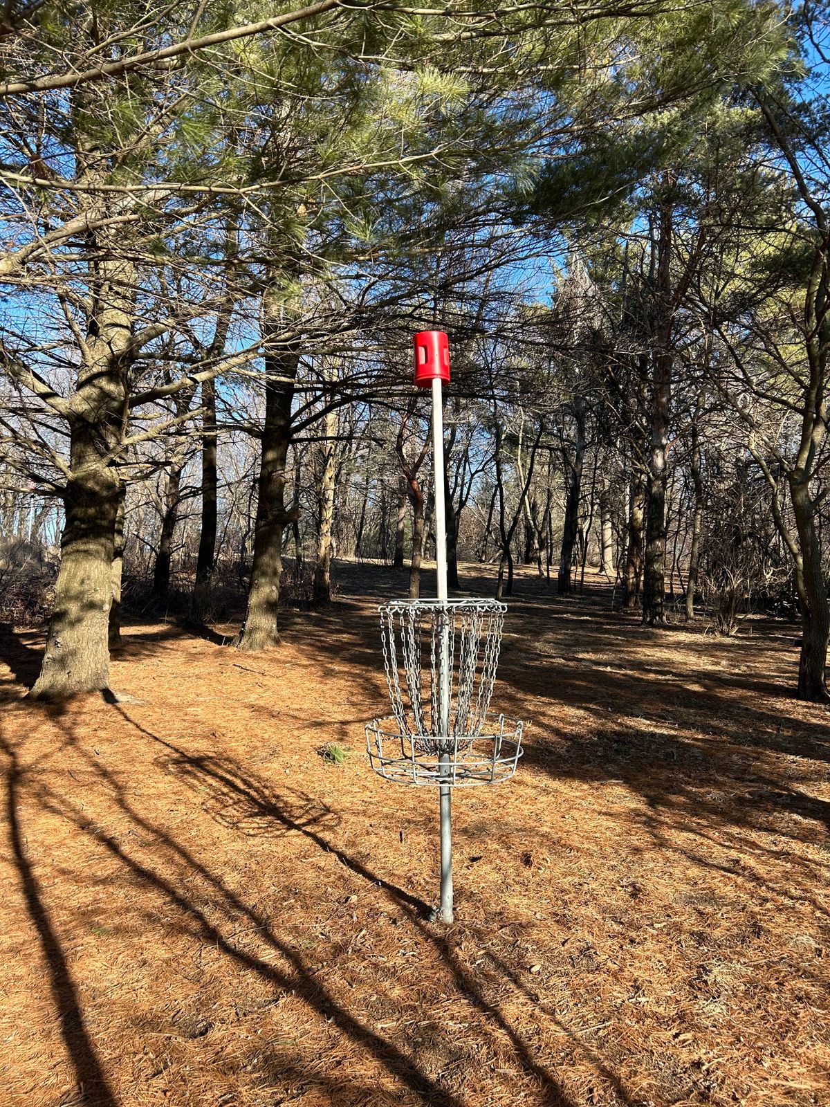 Hole 10s downhill shot