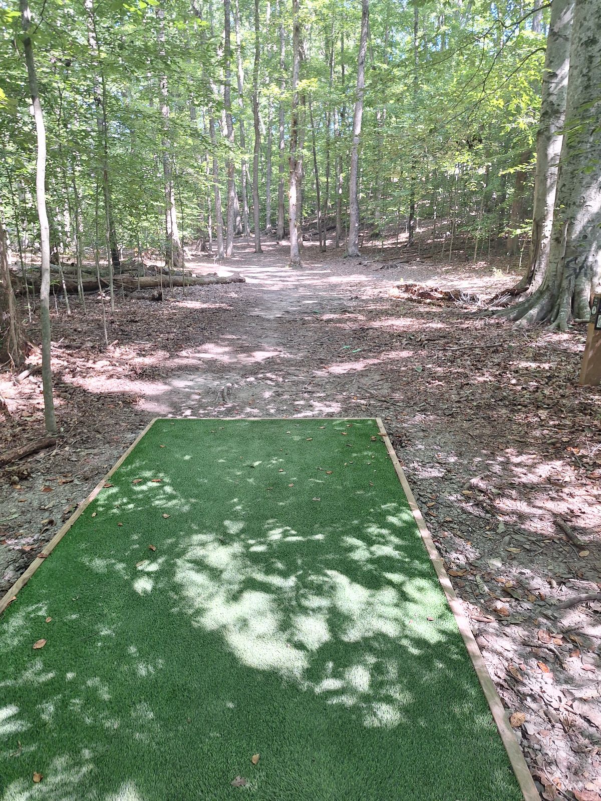 Hole 4 (A Tee pad)