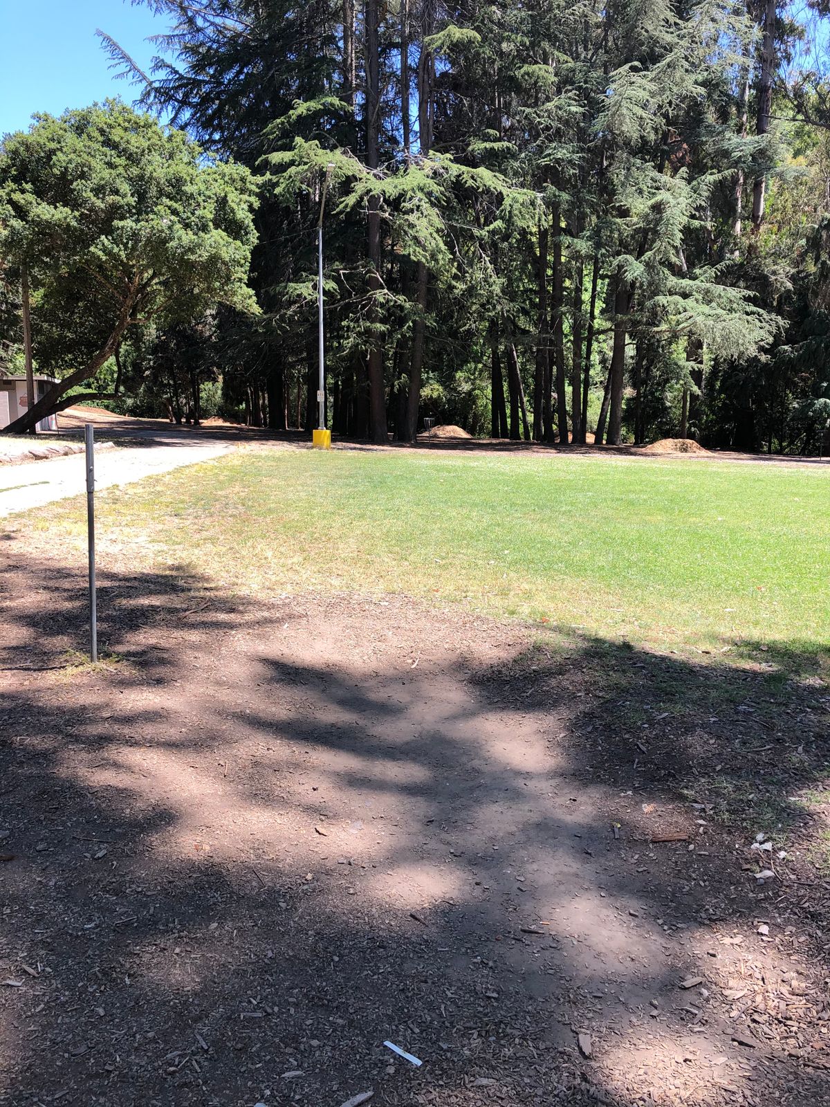 Tee Box at #5