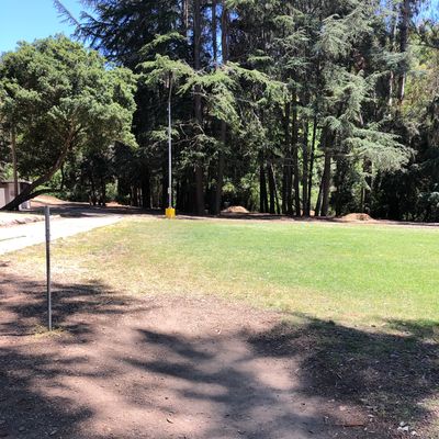Tee Box at #5