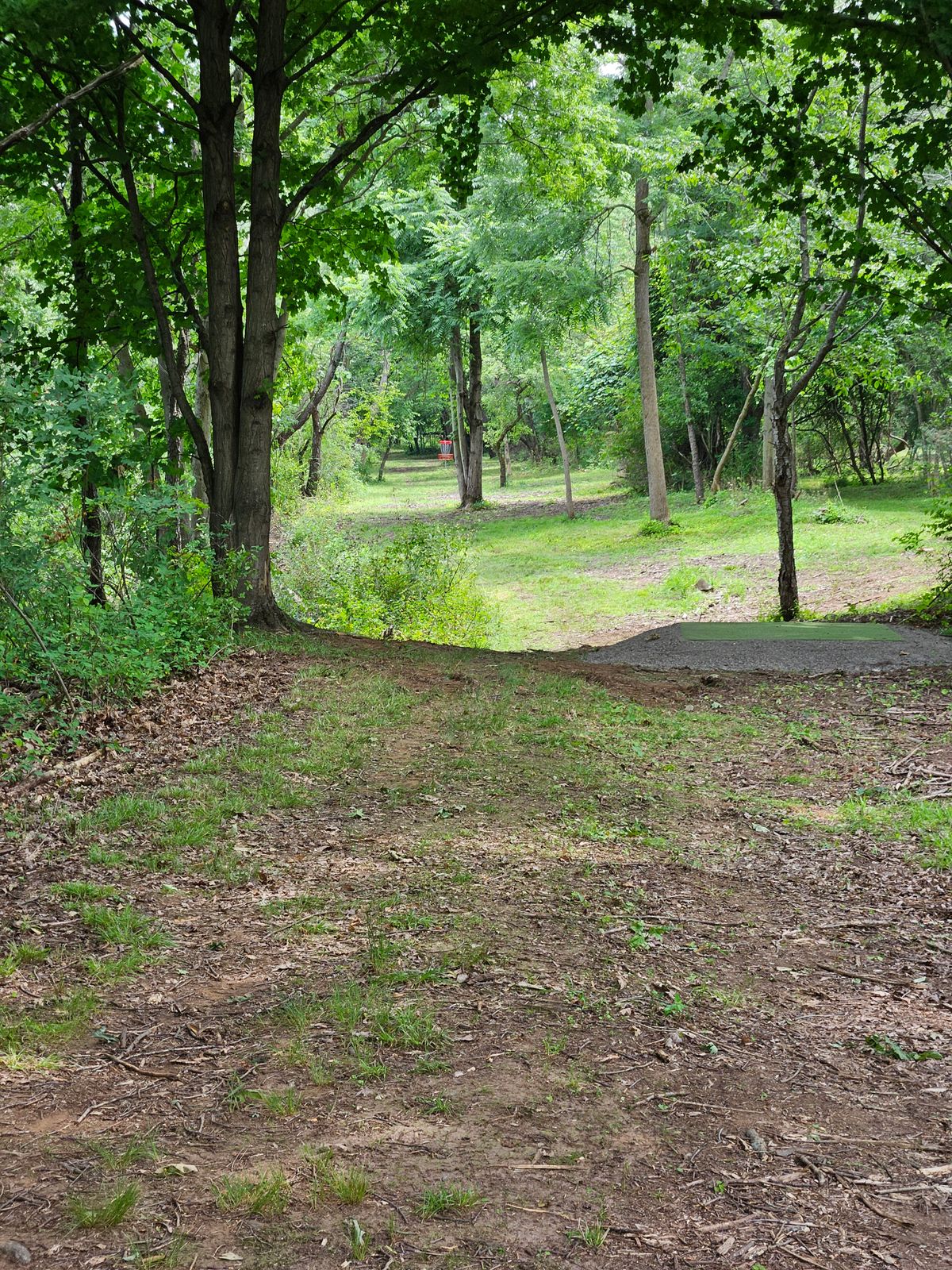 Hole 7 from short tees