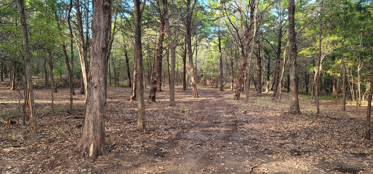 hole 1 fairway
