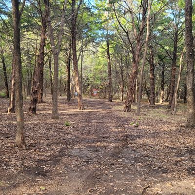 hole 1 fairway