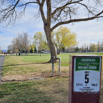Hole 5