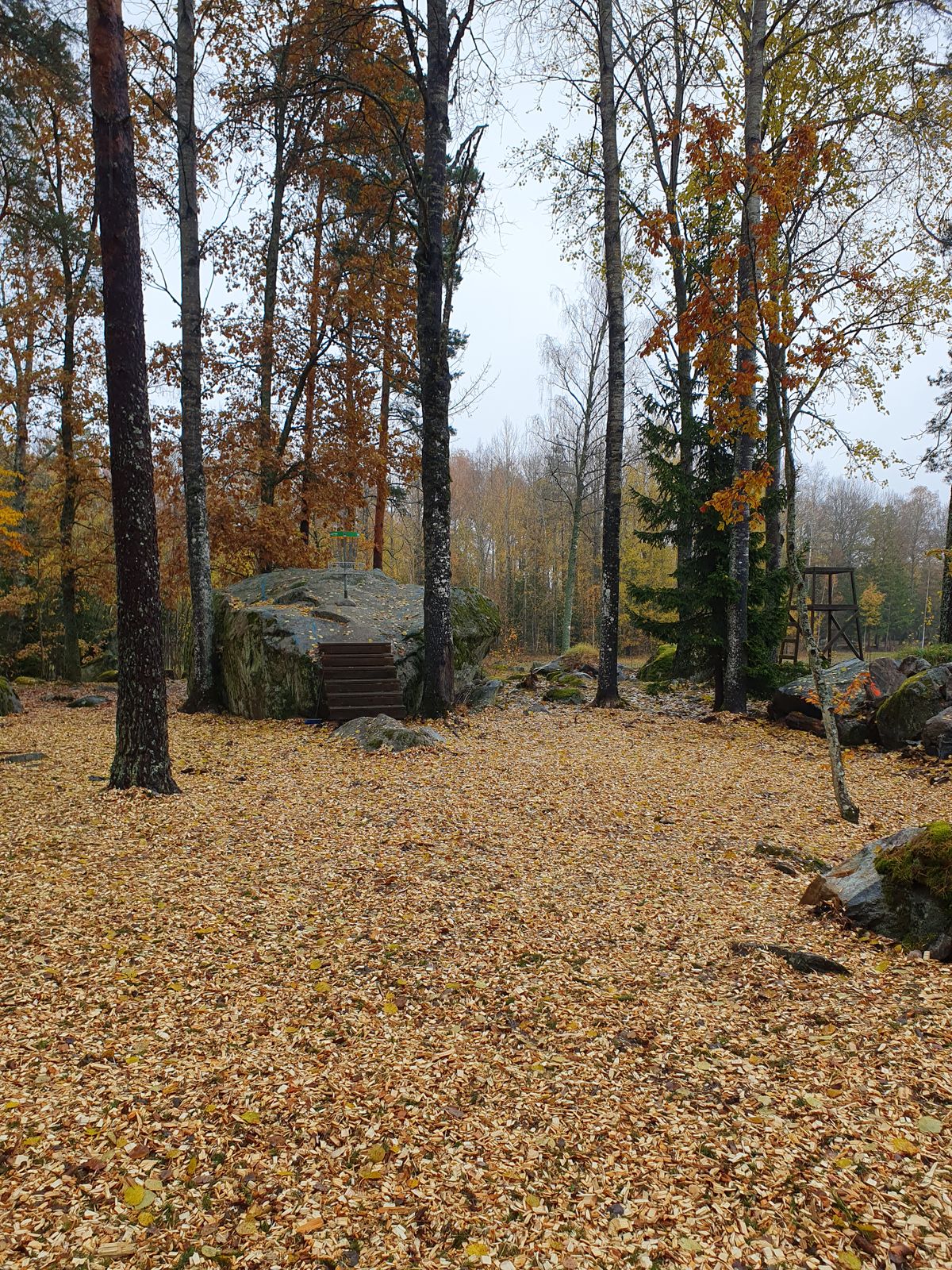 Hål 6