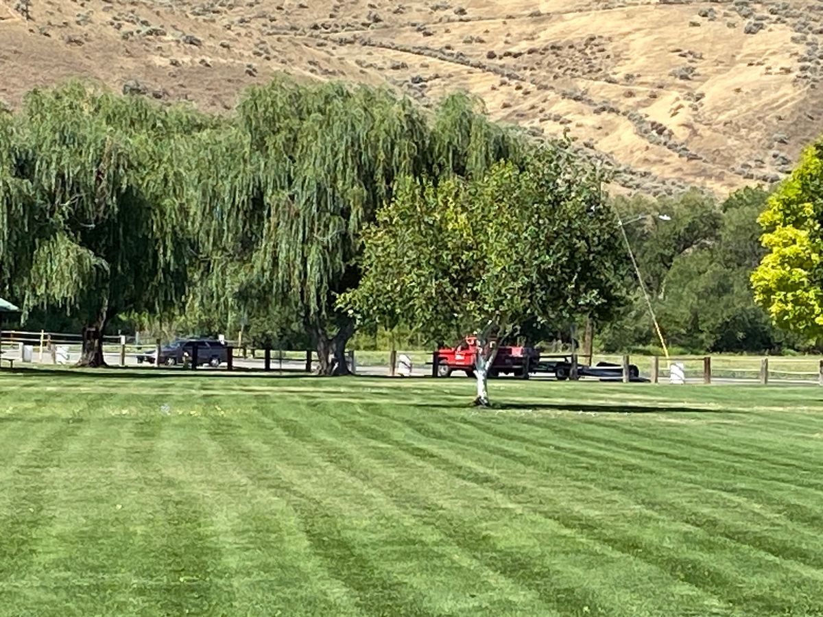 Freshly Mowed