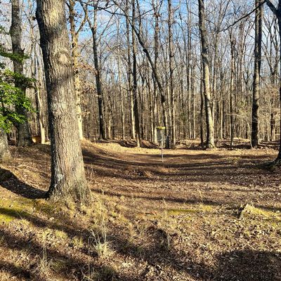 Hole 10 Green cleaned up and now elevated.