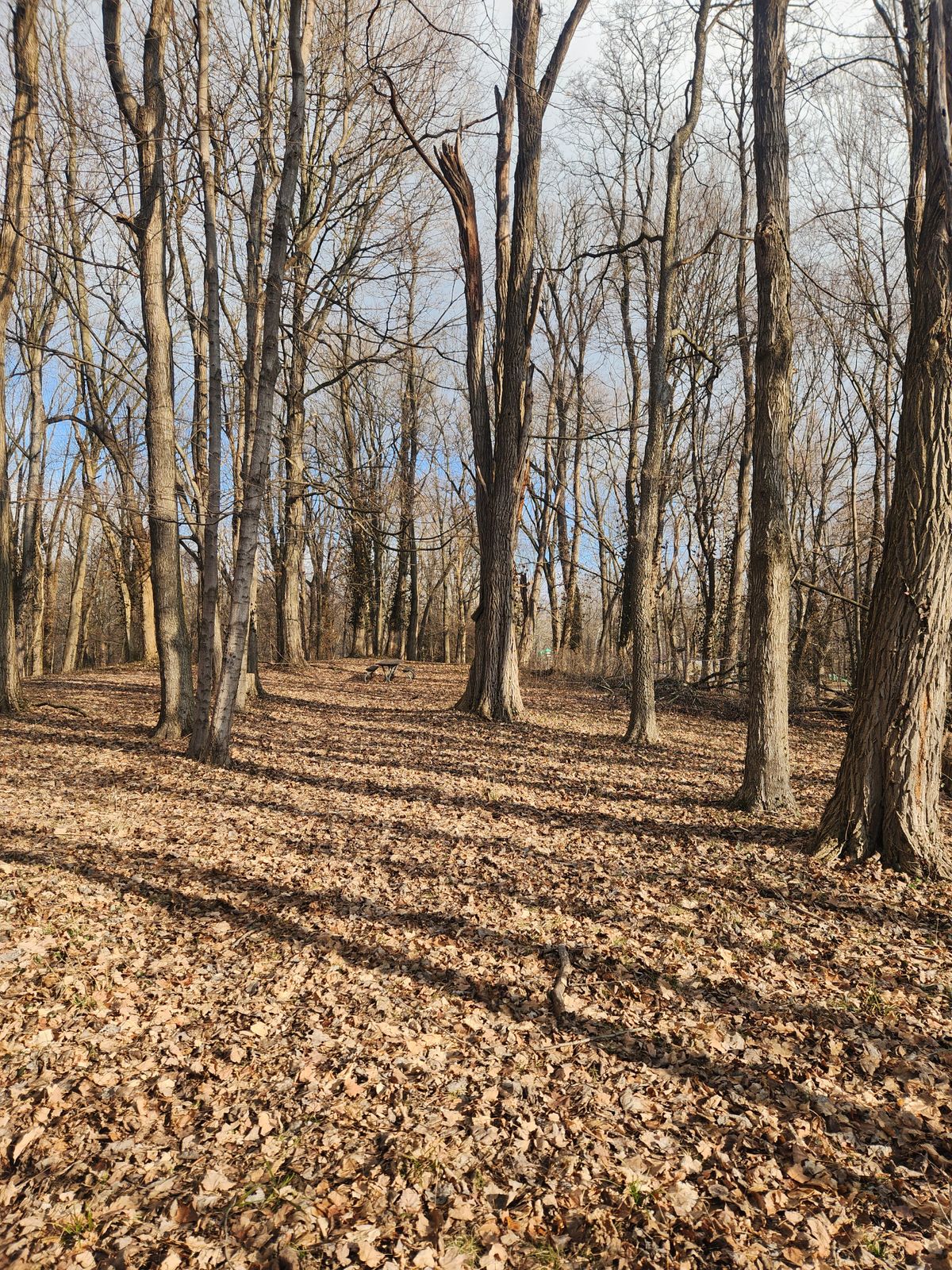 Hole 17