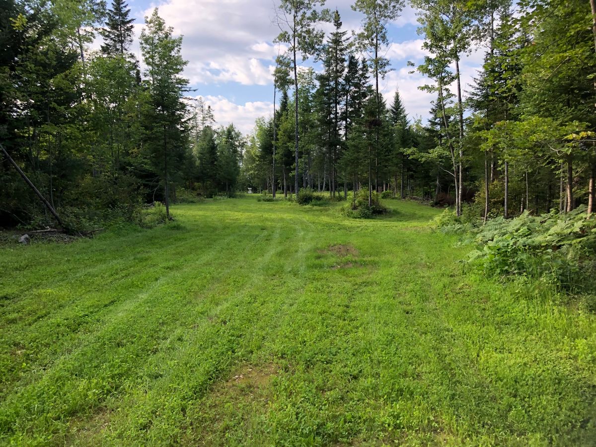 5 fairway
