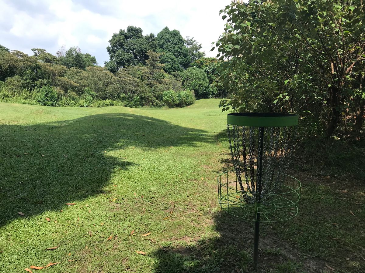 Hole 8 basket