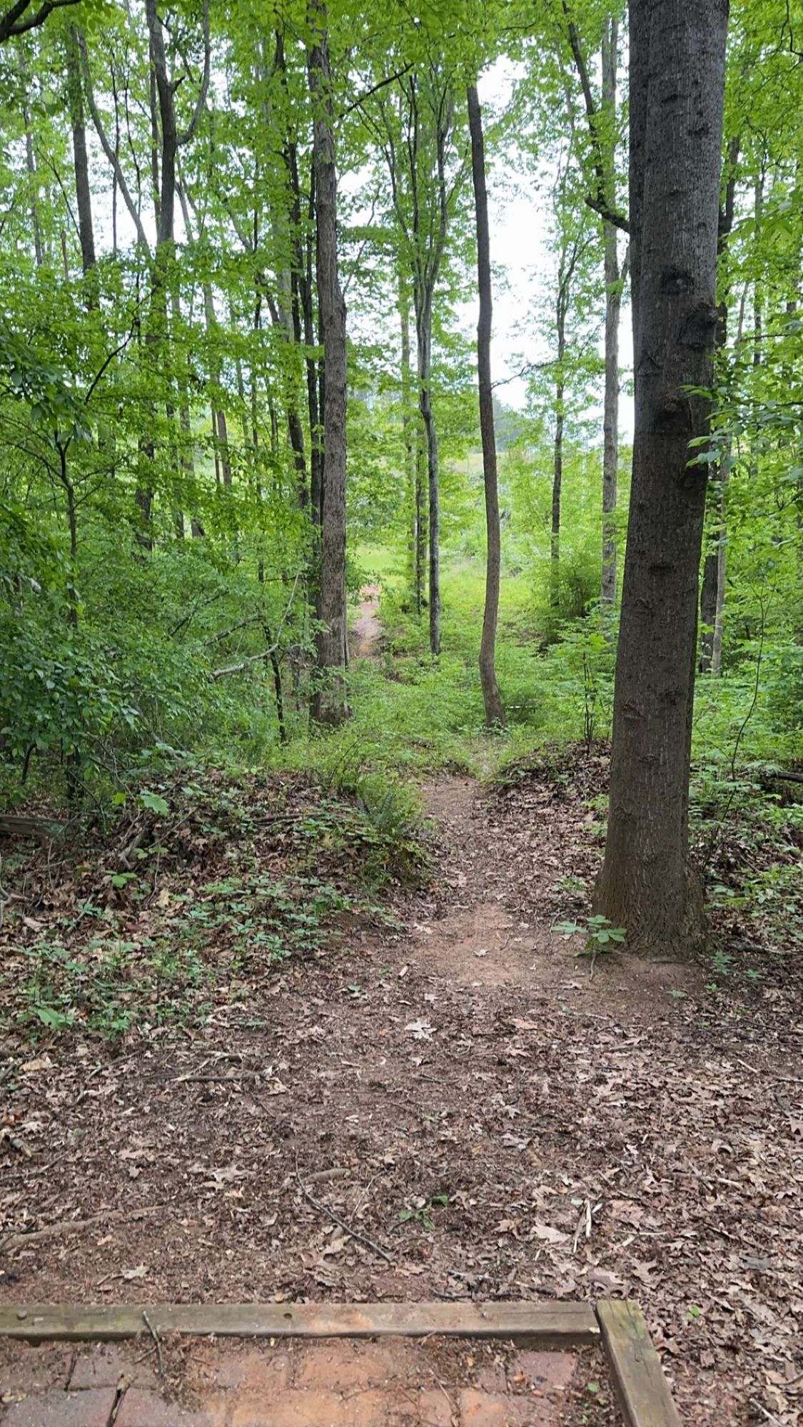 Hole 9