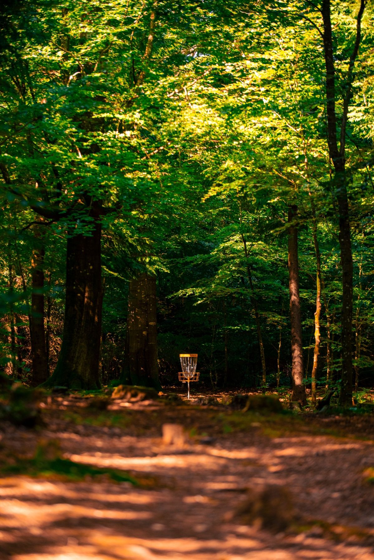 Hole 5 seen from red tee. Beautiful hole!