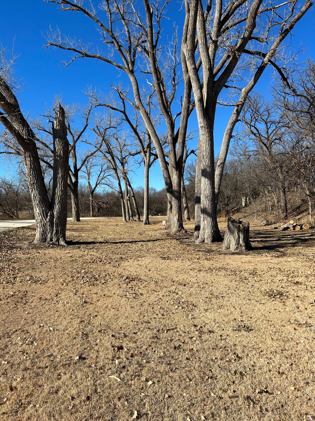 Hole 7