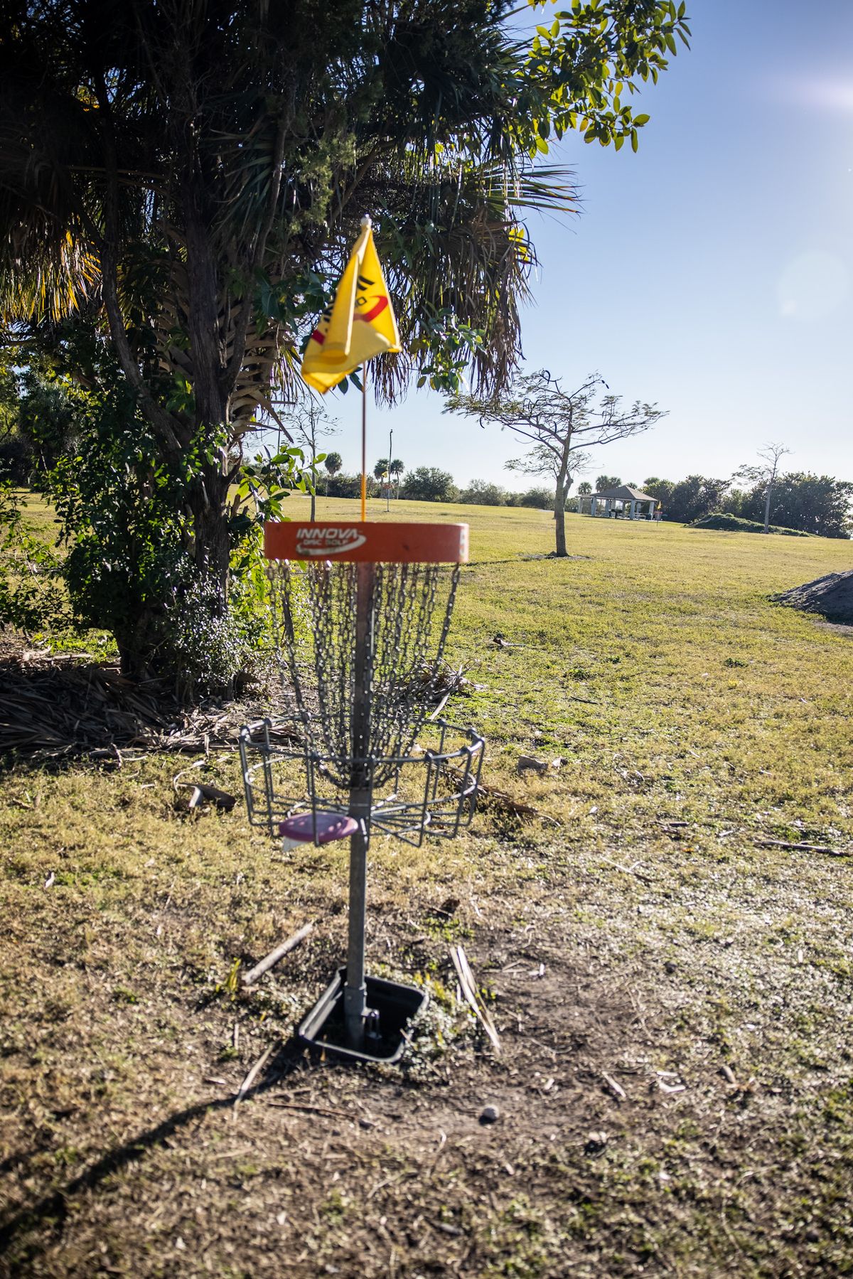 Hole 5 basket.