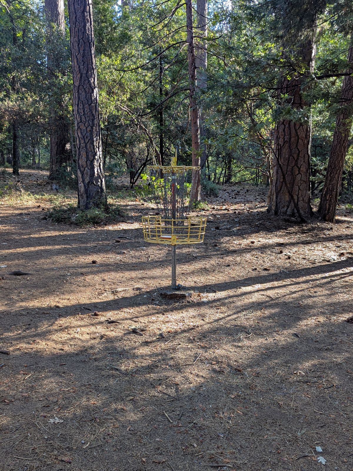 Hole 4 target on 18 hole course