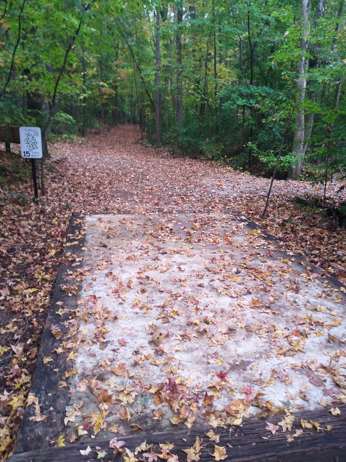 tee box and the front half of the fairway. Long and narrow--428ft.