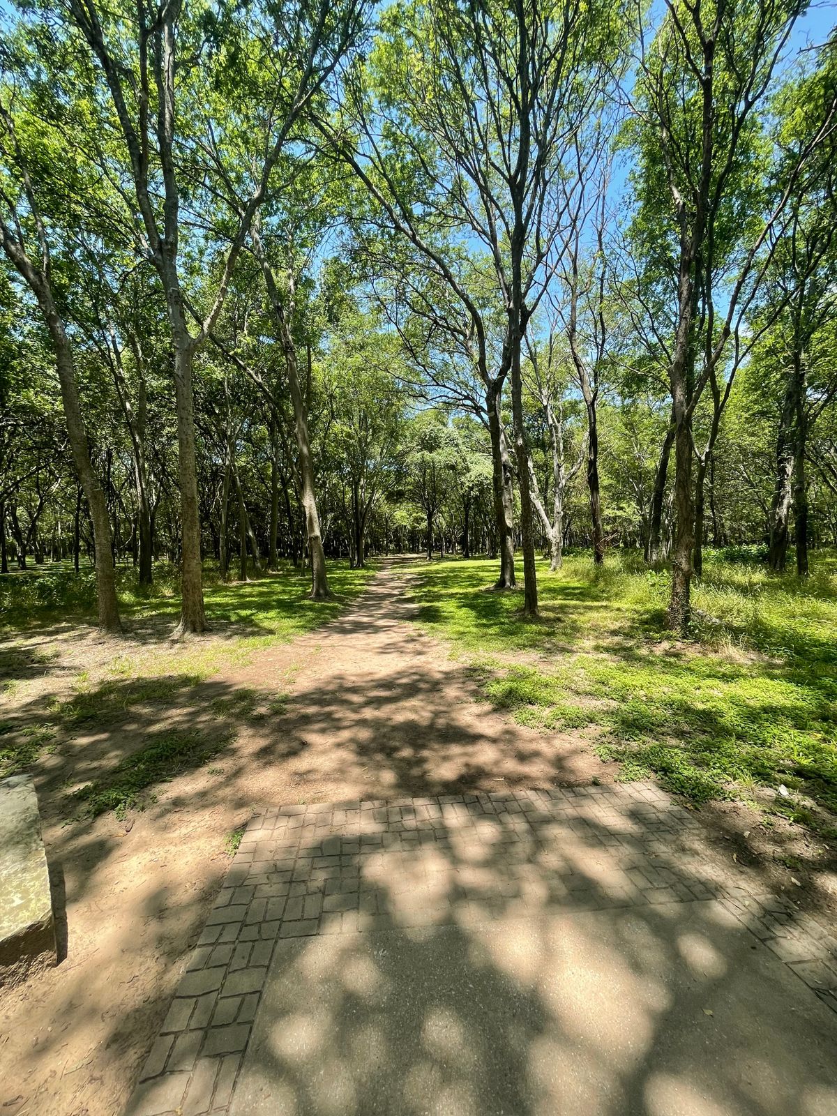 Short teebox