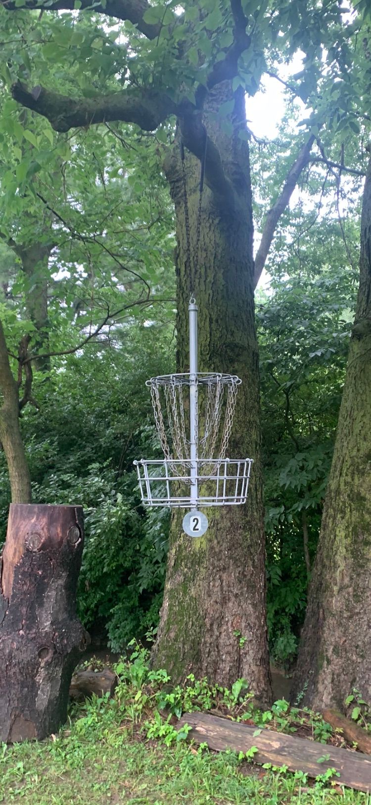 Hole 2