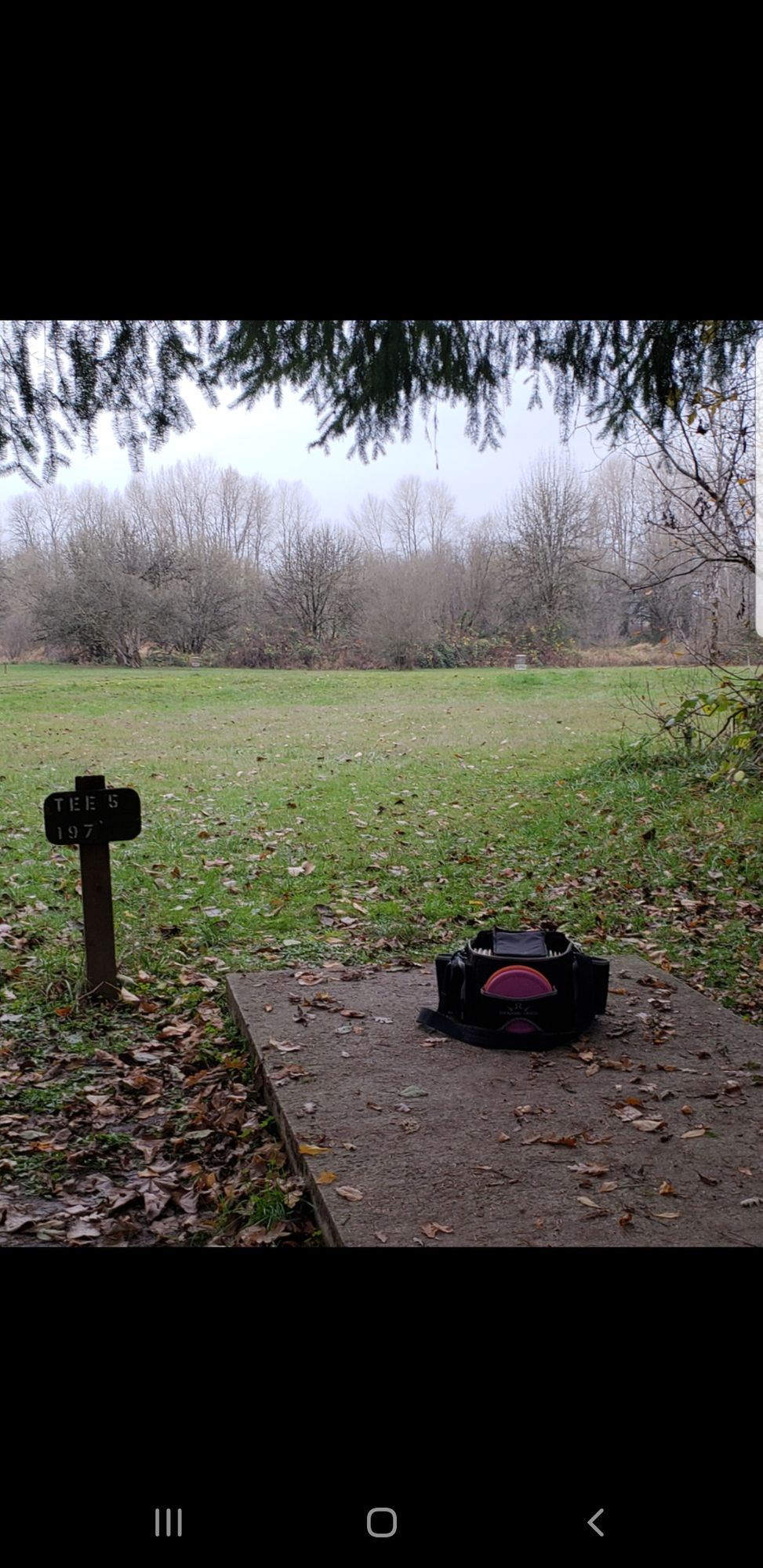 Hole 5 Tee