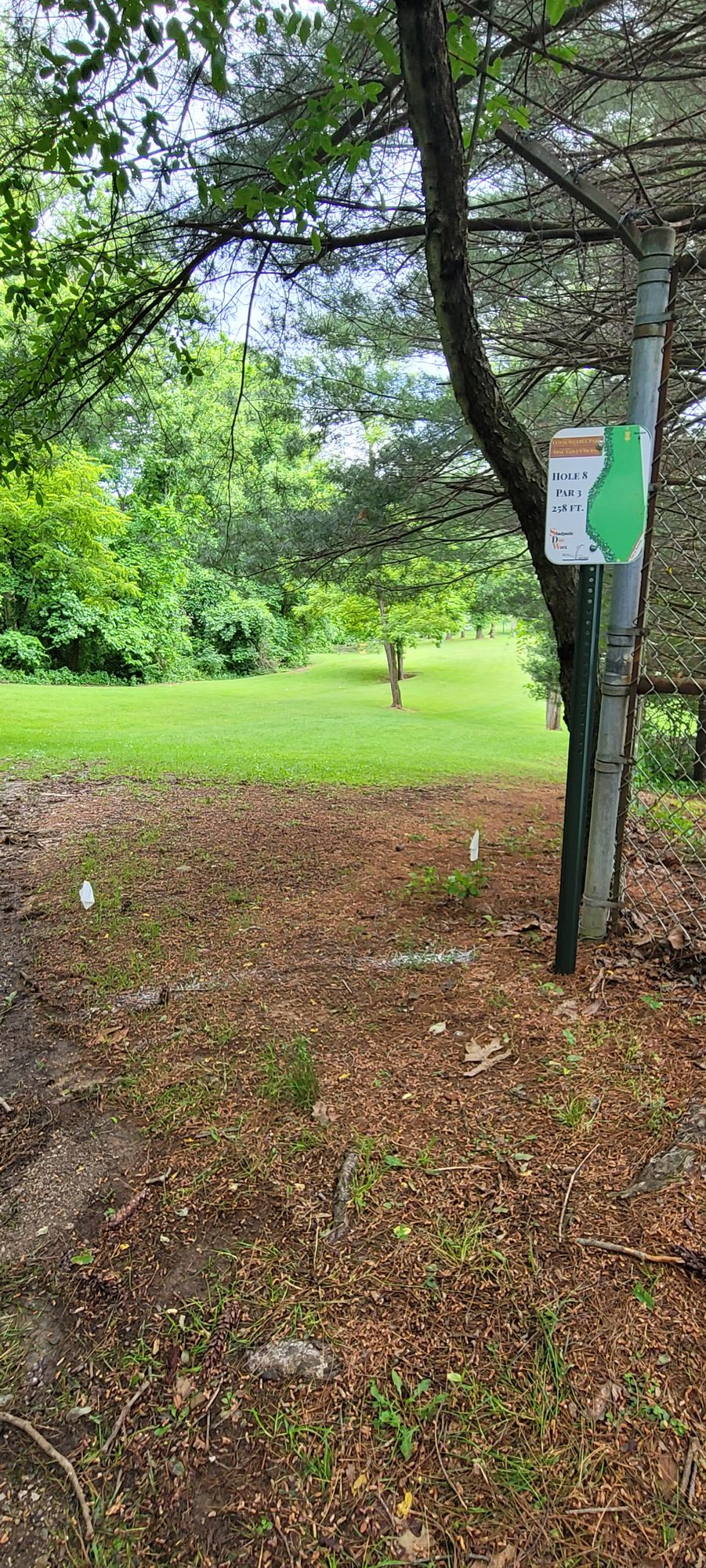 Hole 8 Tee
