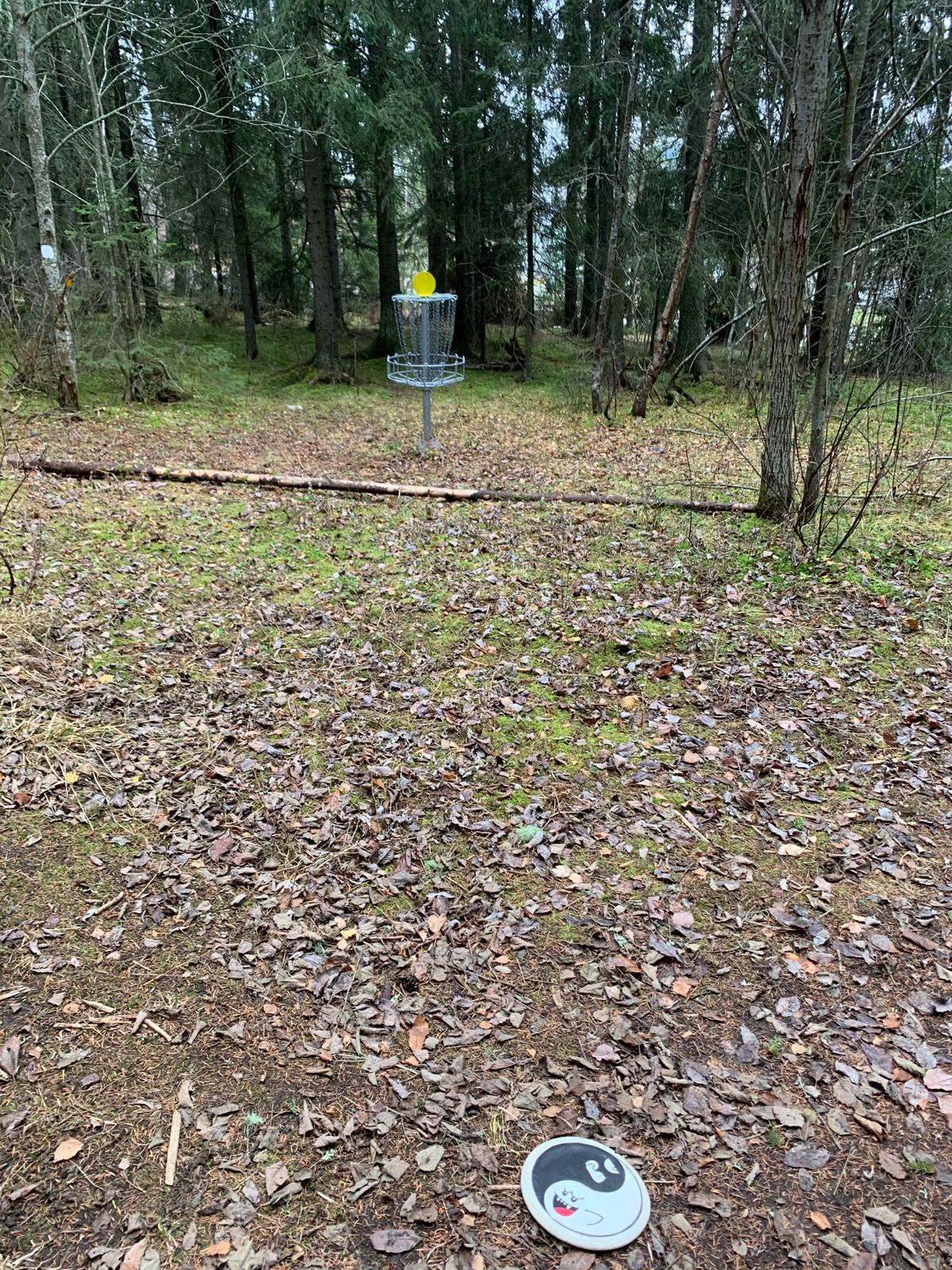Hål 6s green
