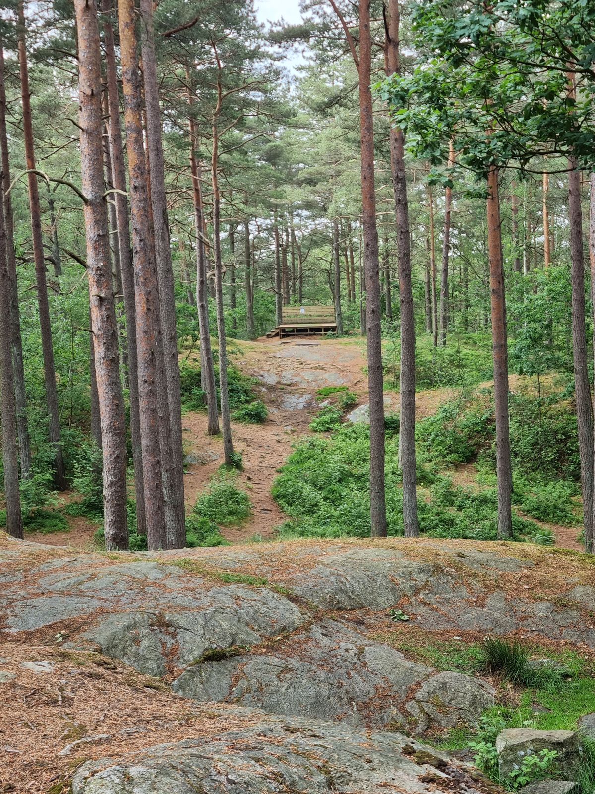 Hål 6 sweetspot