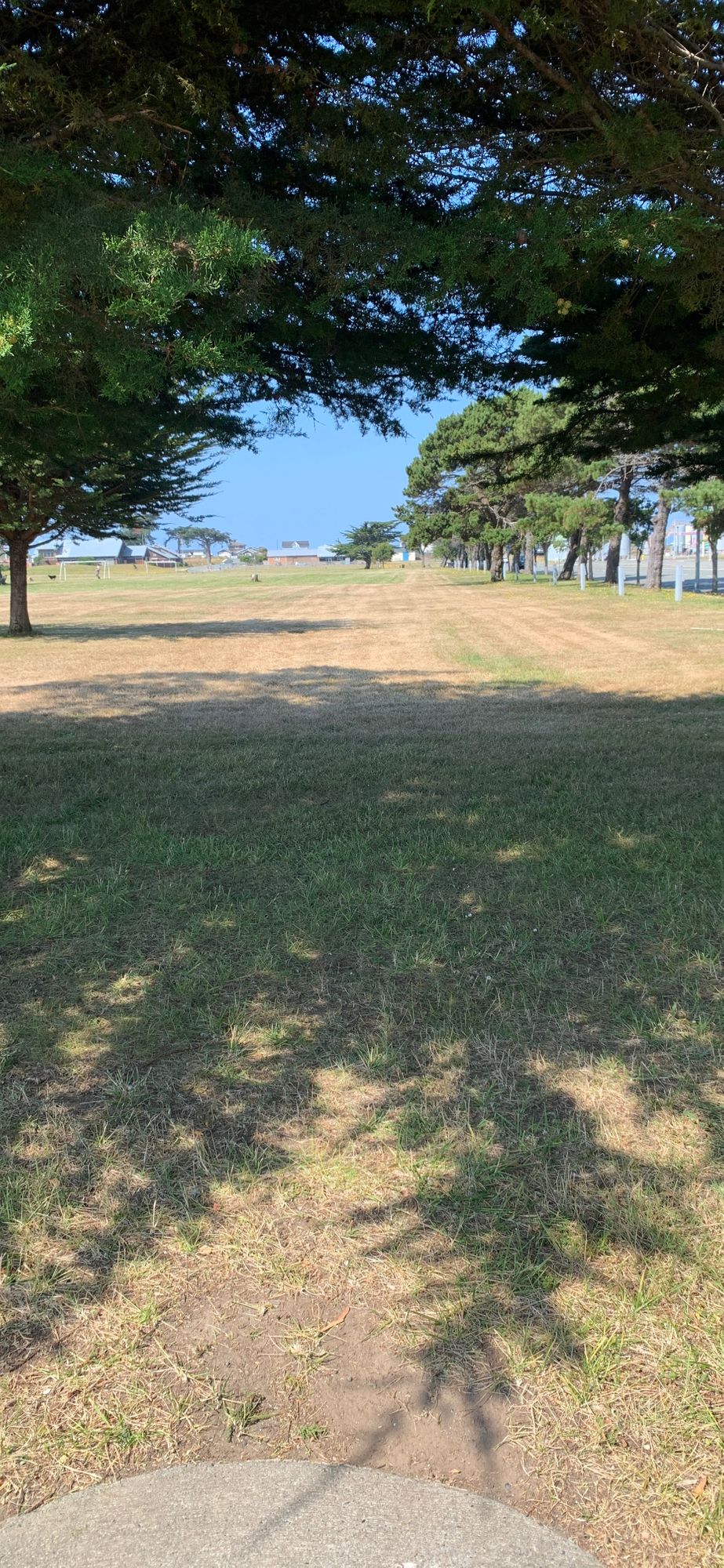 Hole 11 to tree stump