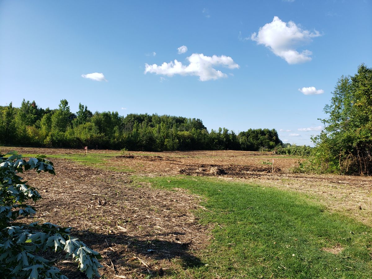 View from what used to be 15 looking North.