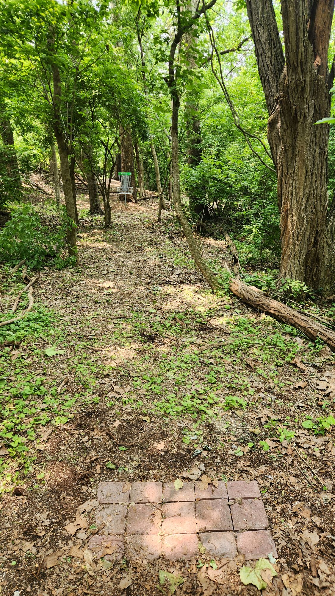 Hole 9