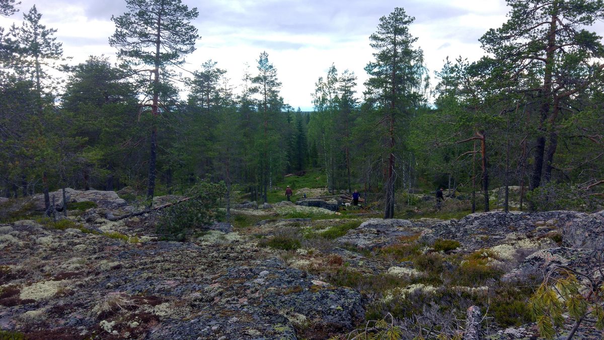 Väylä #15