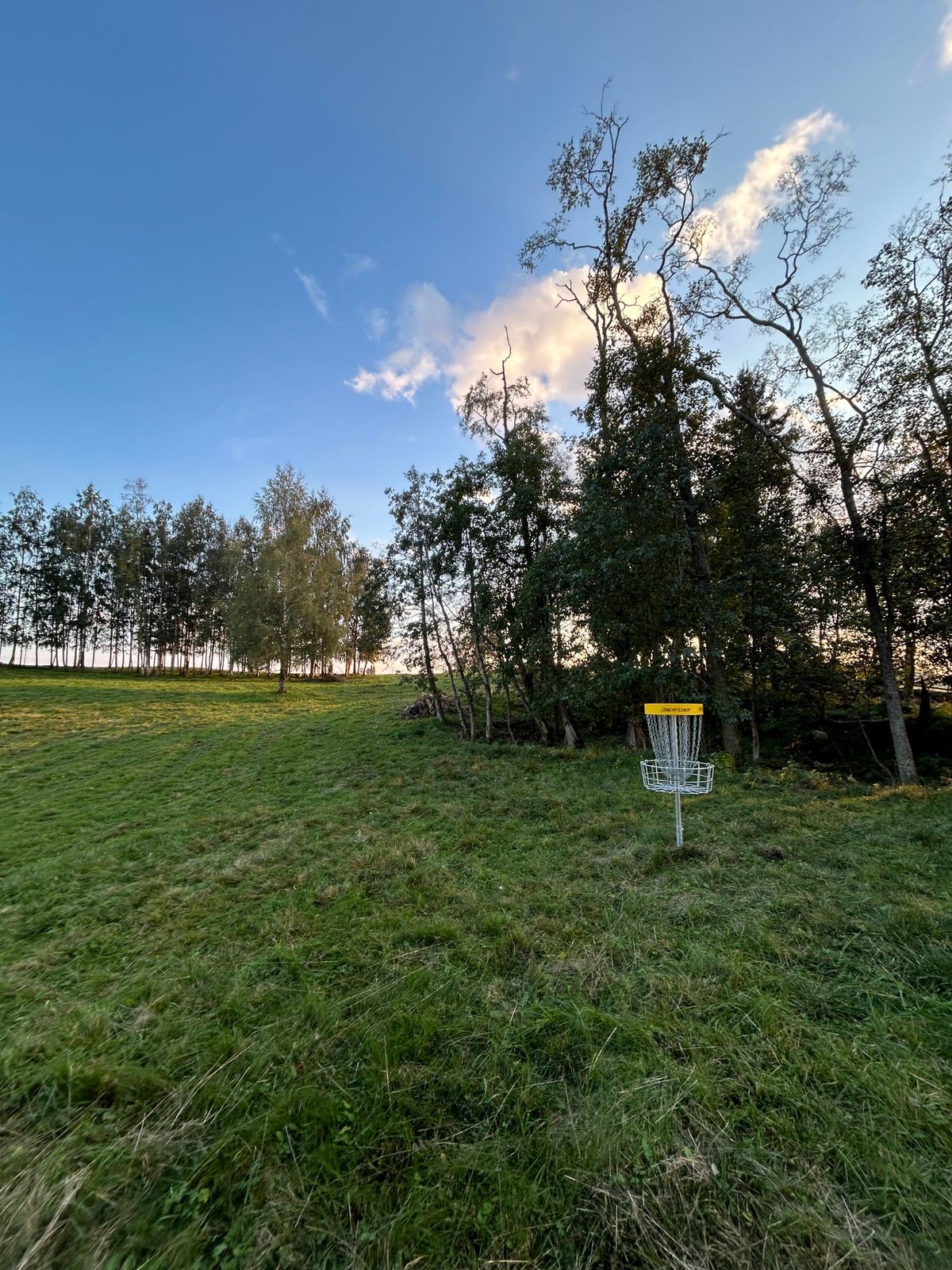 Hole 1 basket