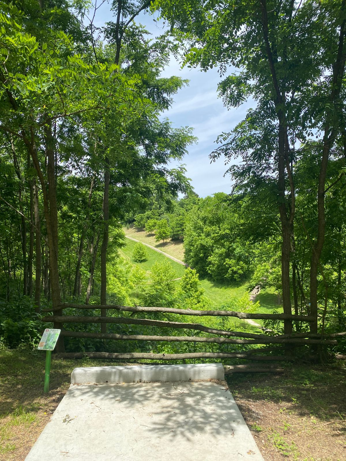 Hole 6