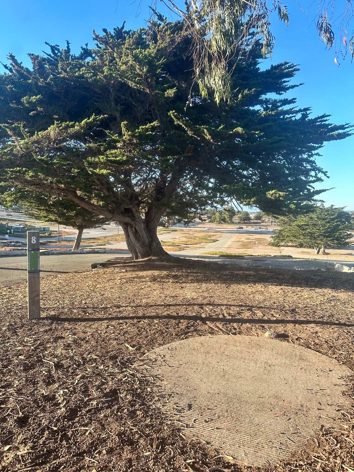 Hole 8's tee pad.