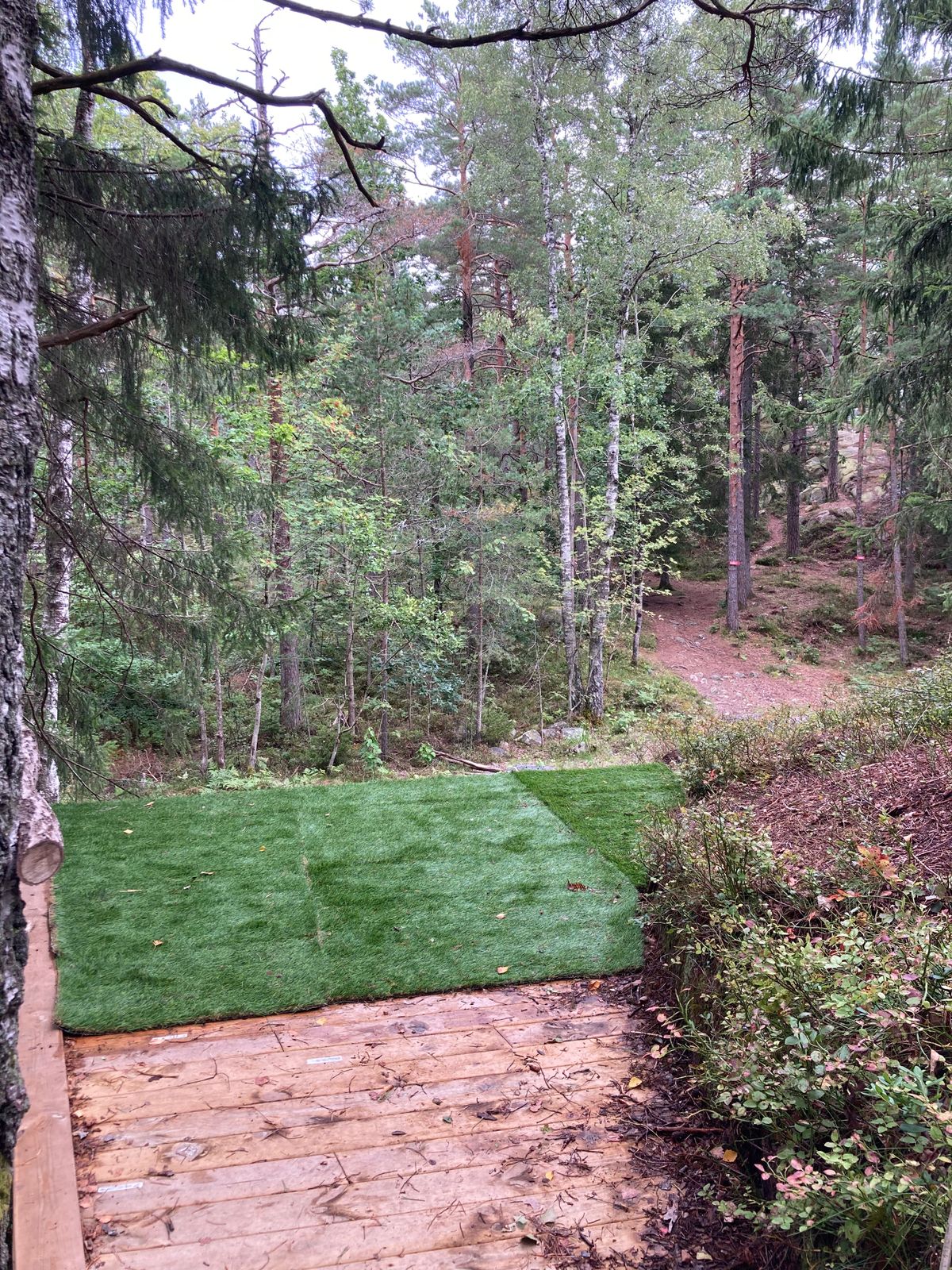 Tee pad hull 10