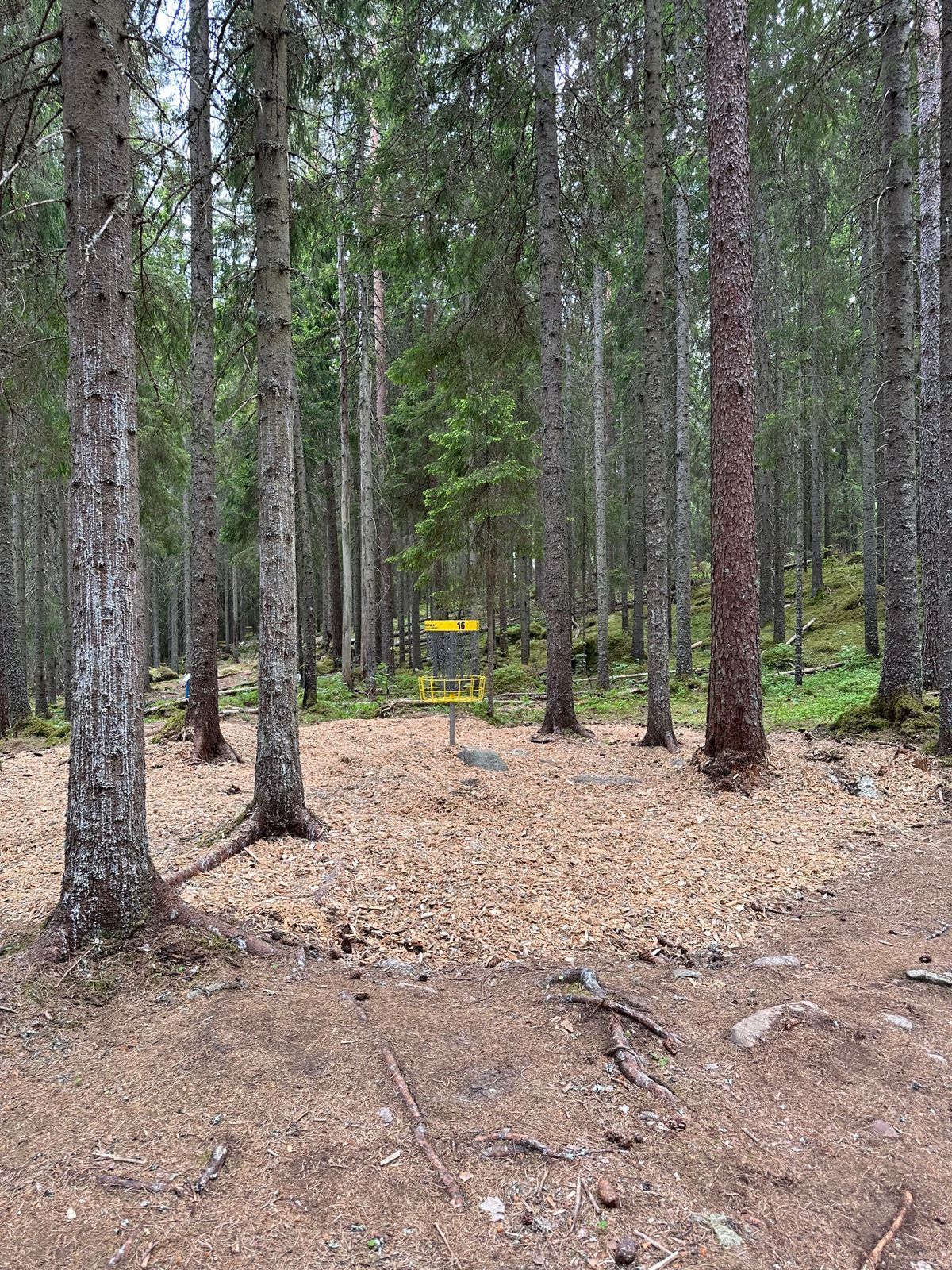 Hål 16