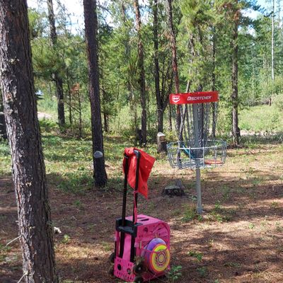 Reverse back up the fairway on hole 1.🌲🌲🌲🌲