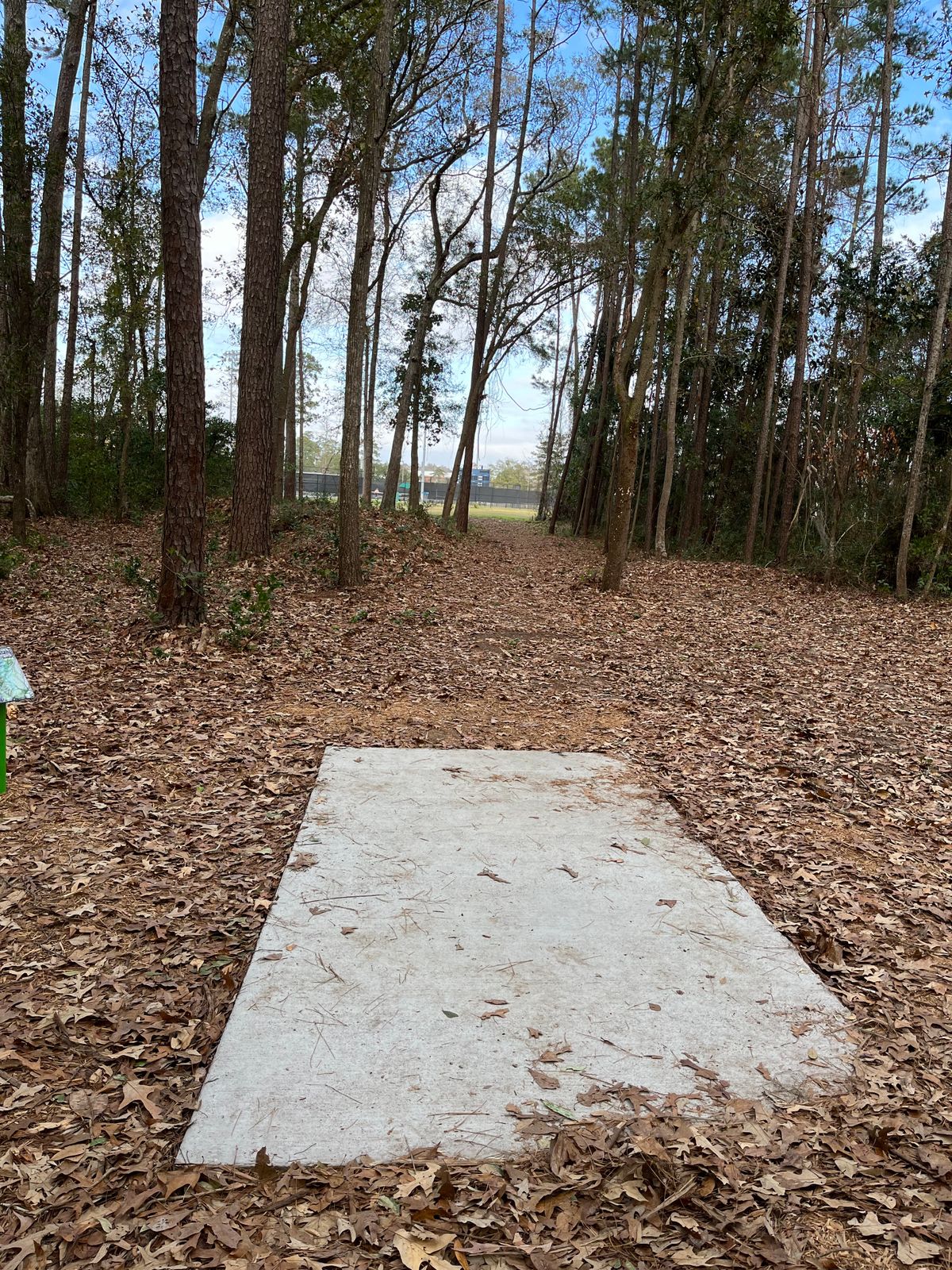 Hole 9 (short)