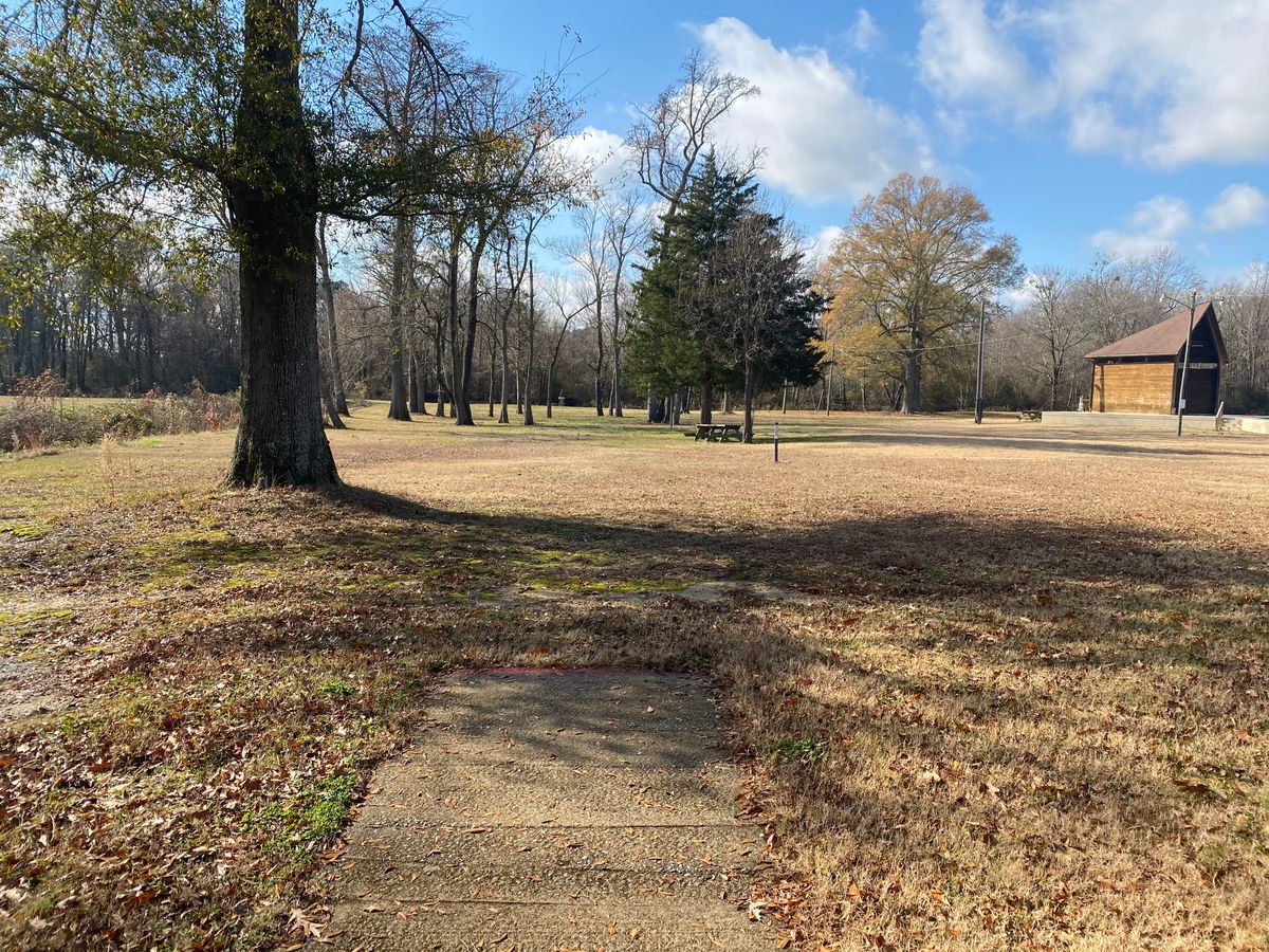 Hole 7 short pad