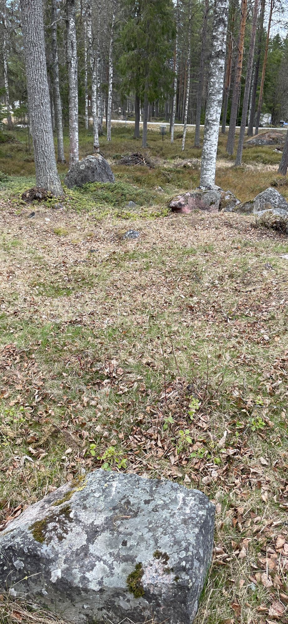 Hål 11, tee behind small rock.