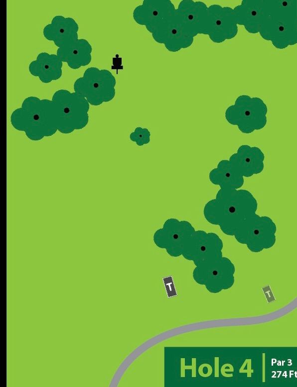 DGPT Style Graphic for Hole 4